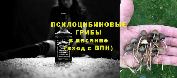 спайс Алзамай