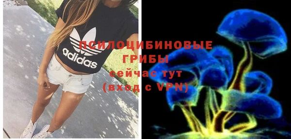 спиды Алексеевка