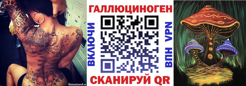 даркнет сайт  ссылка на мегу ССЫЛКА  Псилоцибиновые грибы Psilocybe  Тара 